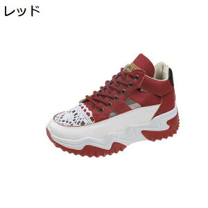 T_ Xj[J[ bVT_ fB[X X|[c  f  EhgD ^  傫 ~ ʋCz JWA `T_  d RtH[