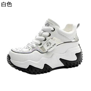 T_ Xj[J[ bV X|[cT_ fB[X [XAbv  r I[vgD  h ʋC Ȑ T}[T_  d RtH[g  }}C 