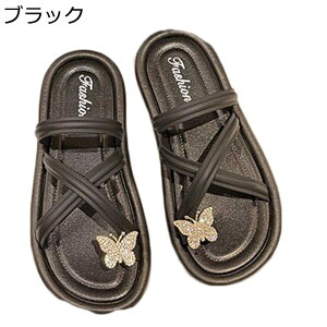 T_  gOT_ Xbp fB[X ؂ T}[T_ [q[ 킢 i tF~j  ~ ʋC z   JWA W[ s i