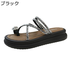 rW[T_  fB[X tbgT_ @ r[`T_ q[Ȃ  f  傫 ~ ʋC z ₷   JWA W[ s 