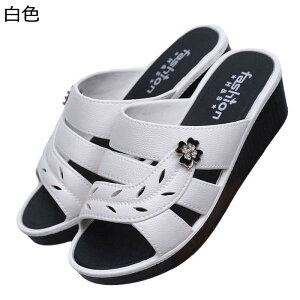 T_ EFbWT_ ~[ fB[X ԕ ƂȂ  f  I[vgD  h ʋC Ȑ  r[`T_  JWA  Lo i