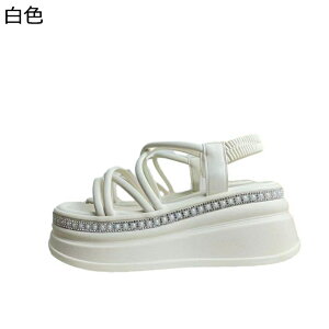 T_ EFbWT_ Xgbv fB[X Ȃ 킢 i tF~j I[vgD 傫 h ʋC Ȑ  r[`T_  o Oo s ][g 