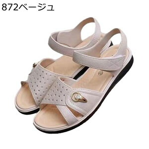 T_ EFbW\[ RtH[gT_ fB[X xN EȂ y I[vgD  ʋC h Ȃ  r[`T_  o Oo s ][g ʋ