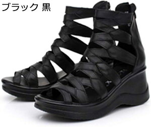 傫TCY OfBG[^[T_ I[vgD nCJbg u[c fB[X T_ nCq[ hV̓ EFbWq[T_ obNt@Xi[ T_ ₷ V[