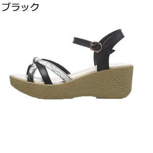 TCY T_ EFbW\[ fB[X I[vgD 5cmq[ ANXgbv ԕ і fUC tďH ϖՐ ʋC h tBbg ʋΒʊw  U f[g