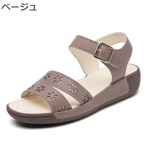 T_ fB[X 4cmq[  EFbWq[ I[vgD  ԕ ANXgbv  TPR\[ ʋC ɂ ɂȂ ₷ ʋ ʊw  ItBX i