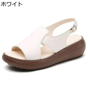  T_ fB[X X|[cV[Y ANXgbv I[vgD EFbW\[ EH[LOO WMO h PUU[ h Sn r ʋ o tďH IV