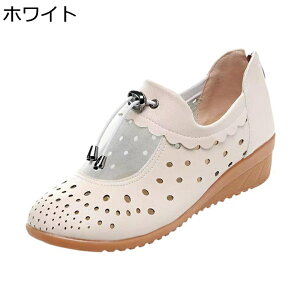 T_ EFbW\[ fB[X  N[YgD obNWbv [Jbg T_u[c ėp 4cmq[ PUU[ tďH ~ \tg E₷ d p