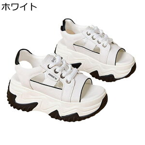 X|[cT_ fB[X X|[c T_  D^ [XAbv I[vgD jbg  Xj[J[T_ tďH~ 5cmq[ ϖՐ ʋC h Sn ₷