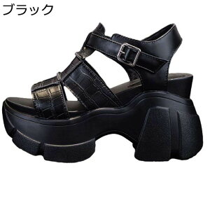 Xj[J[T_ fB[X  ANXgbv I[vgD X|[cT_  gAbv ^bN NbV ~ Ռz AEghA d p o fC