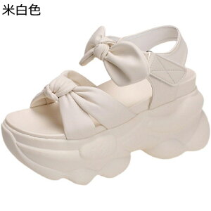 X|[cT_ fB[X  T_ D^ t@Xi[ I[vgD я NbV Xj[J[T_  ~ Ռz _ ig AEghA EH[LO 