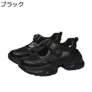 Xj[J[T_ fB[X  bV X|[cT_ N[YgD 5cmq[ NbV \ tďH t@Xi[ ϖՐ ʋC h _ ʋ ʊw  AEghA s