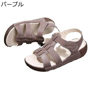  T_ fB[X 傫TCY EFbW\[ t@Xi[ I[vgD Jt[W ėp OfBG[^[T_ v ~ 5cmq[ Ȑ s NbV ʊw