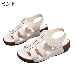  T_ fB[X 傫TCY EFbW\[ t@Xi[ I[vgD Jt[W ėp OfBG[^[T_ v ~ 5cmq[ Ȑ s NbV ʊw