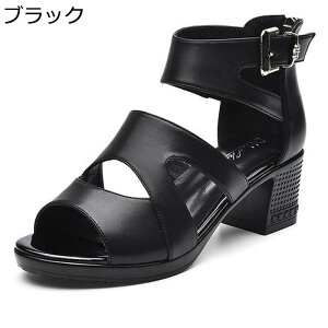 nCq[ OfBG[^[T_ ߃q[ fB[X ZNV[ L h I[vgD 傫TCY h Ȑ ʋC Xgbv T}[T_ s ][g W[ O/