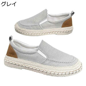 Xj[J[ Y Xb| [Jbg tbg JWAV[Y YbNC W[g jp LpXV[Y Ȗ Sn ʋC y JWA o t ɂ