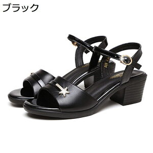 T_ fB[X CXg[ wl N hXT_ LL 5cmXNGAq[ r ₷ _炩 xg ߃Xgbv ʋ ItBX o