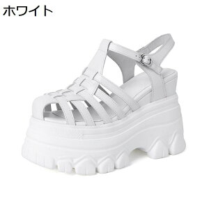 {v OJT_ 12cm C\[ OfBG[^[T_ T_ ҂ݍ݃XgbvT_ ҂݃T_ q[ tH[ r gAbv JWA ₷ y