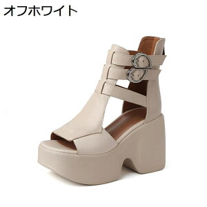 T}[u[c {v u[cT_  T}[u[c `L[q[ T_ I[vgD r nCq[ obOWbp[ 10cmq[ ₷ ANobN OfBG[^[