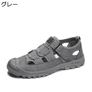 ėp r[`T_ ܐی Y AEghAT_ ʋC O ~ ₷ Ȃ hCo[YV[Y g[jO X|[c i 傫TCY