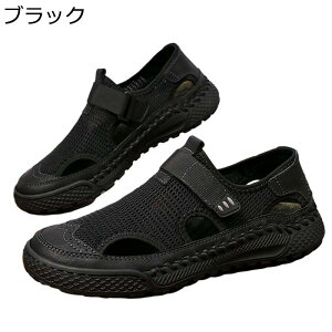 ėp bVV[Y T_ Y xN T_ AEghA  ʋC y h hCrOV[Y Xb| EH[LO RtH[g 傫TCY