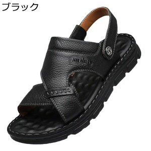 vT_  r[`T_ Y 2way Xbp NbV h AEghAT_ ʋC y hCo[T_ ėp O rWlXT_ j  傫TCY