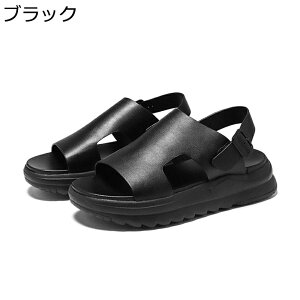 r[`T_ T_ Y  t@bVT_ r[T [}T_ AEghAT_ gAbv 񂾂 ~ Vv tB[g i ނ ^Ep