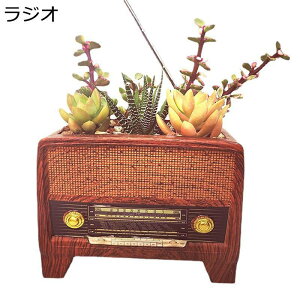 Be[WfR WI }CNhXP[v v^[ |bg  A v^[ Aؔ  A  gfR }CNi K[fI[ig u CeAG