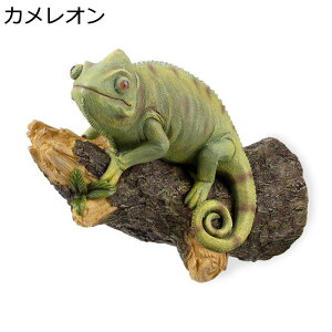 JI A u K[fI[ig  IuWF O  IuWF 蕨 { CeAG   ct O  ؂̐؂芔 fR[V c[p