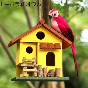 K[fI[ig  ؐ o[hnEX VRf }CNi tFCNtH[ IEf  z[ K[f K[fjOG Ԃ牺 뉀 O