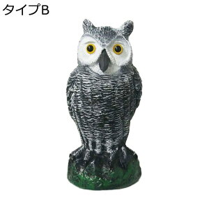 K[fjO u CeA K[fI[ig tNE  IuWF A {   ϋv 킢 v[g O fR[V   Ő O  Op