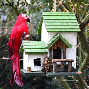   O  ؐ  tFCNtH[ IEf tFU[    VRf  Ԃ牺 z[ K[f p[eB[ ct   CeA