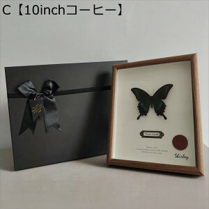 z  ̊z {bNXt[ tHgt[ Ǌ|  hCt[ j KX W{ tBMAP[X  a j ސEj