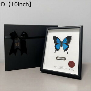 tHgt[ ̊z {bNXt[  NAt[  z KX W{ tBMAP[X  a j ސEj