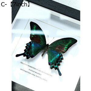 tHgt[ z ` Ǌ| ̊z {z蒱 {bNXt[  W{ j j tBMAP[X CeA  hCt[