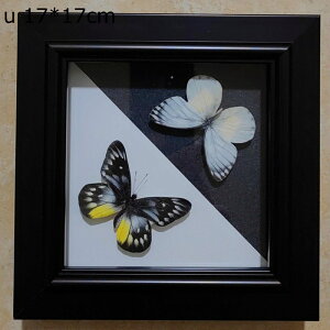 EH[A[g tHgt[ z ` Ǌ| ̊z fBXvCt[ fBXvCP[X hCt[fBXvCX^h Ǌ|̒̕W{ W{ W