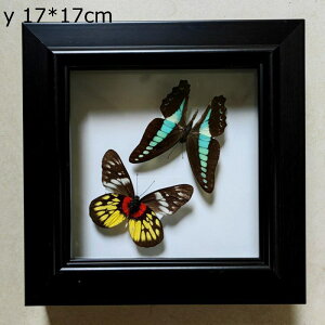 EH[A[g tHgt[ z ` Ǌ| ̊z fBXvCt[ fBXvCP[X hCt[fBXvCX^h Ǌ|̒̕W{ W{ W