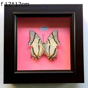 EH[A[g tHgt[ z ` Ǌ| ̊z fBXvCt[ fBXvCP[X hCt[fBXvCX^h Ǌ|̒̕W{ W{ W