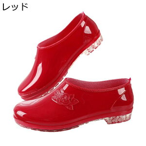 hV[Y CV[Y Xb| K  Ղ fB[X ނ ʊw ~J? NVbN JWA  Jp ~  h ϖ y ԃV[Y