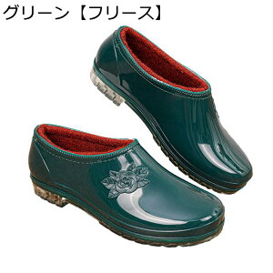 hV[Y CV[Y Xb| K  Ղ fB[X ނ ʊw ~J? NVbN JWA  Jp ~  h ϖ y ԃV[Y