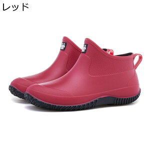 CV[Y hV[Y fB[X y [Jbg  h  ʋC h V[gu[c JWA Lv K[fjO Be[W I[}CeB 킢