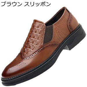 Y XbvI vC rWlXV[Y [t@[ ₷ hCrOV[Y ECO`bv h ʋC K 傫TCY  tH[} ʋ hL y