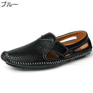 JWAV[Y Y xN bV T_ Xj[J[ y h ʋC Ȃ ₷ ₷ ʋ ʊw