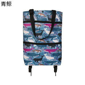 VbsOJ[g J[g ^J[g 3 LX^[ IbNXtH[hz  ܂肽ݎ @\ RpNg [֗ GRobO  ؍w ו^ ƒp z o