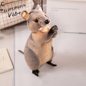 ʂ F铮  C YQ D  ӂӂŖ  av[g q  _炩 Sn ˂ނ˂ Ƃ낯悤ȔG 