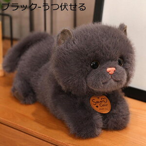 qLʂ QY n C D 薍  u X  ӂӂ aMtg hV̓  \[p[\tg ₷Q ObY