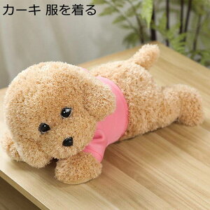 hbOʂ G CeA ܂ ӂӂ   u X _炩 \[p[\tg ll ObY YQ D  hV̓ j NX}XMt