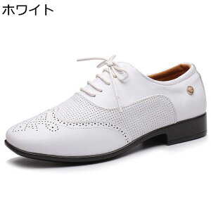 _XV[Y Y Ќ_X  NVJ v xvC WYV[Y e_X TT ^S bVt ʋCD ϋv ɂ Snǂ y O 