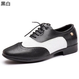 _XV[Y Y Ќ_X  NVJ v xvC WYV[Y e_X TT ^S bVt ʋCD ϋv ɂ Snǂ y O 