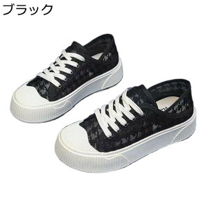 fB[X fbLV[Y t GXph[ LoX tbg `[ bV Xj[J[ [XAbv AEghAV[Y [Jbg 킢 LC ~ 